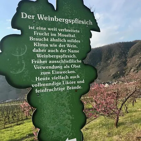 Apartment Residenz Moselzauber - Mit Pool Landschaft *