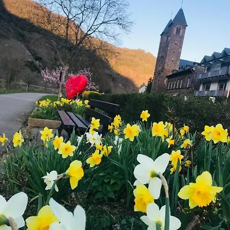 Residenz Moselzauber - Mit Pool Landschaft Apartment *