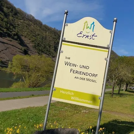 Residenz Moselzauber - Mit Pool Landschaft Apartment