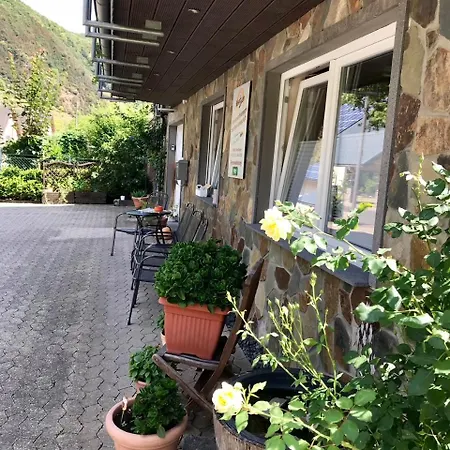 Apartman Residenz Moselzauber - Mit Pool Landschaft *